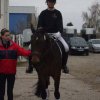 Leo und Sunny4